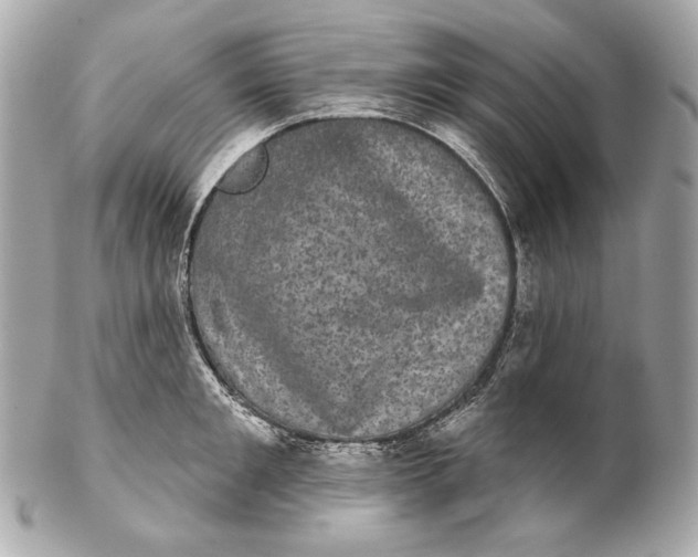 X0000102240901200808151751