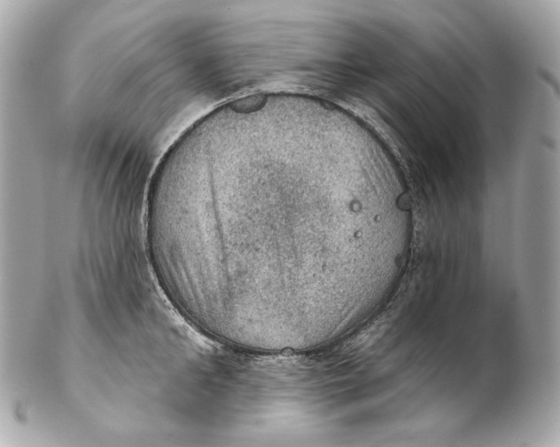 X0000102240902200808151751