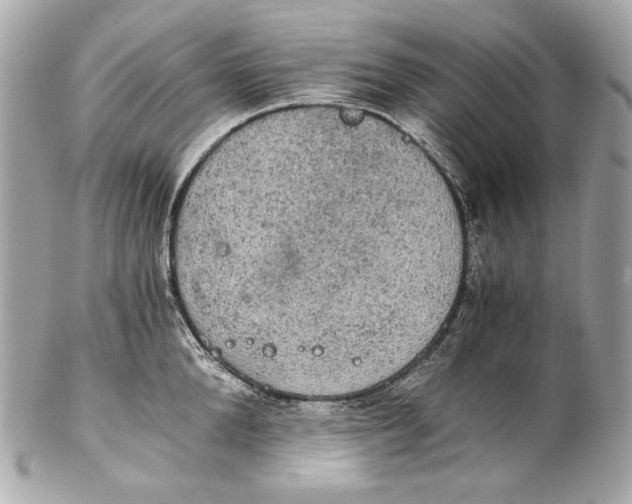 X0000102240904200808151751