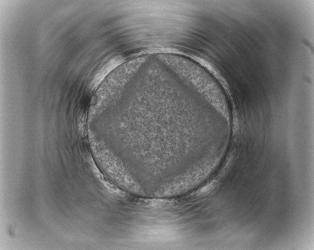 X0000102240905200808151751