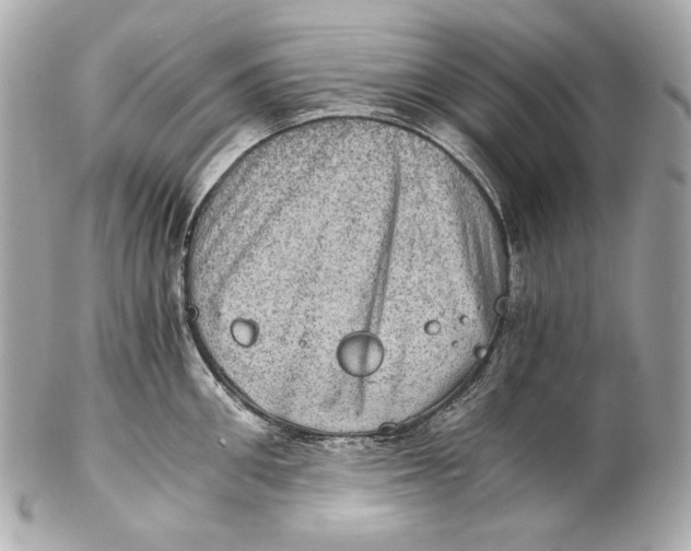 X0000102240906200808151751