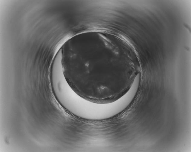 X0000102240907200808151751