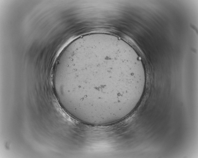 X0000102240908200808151751