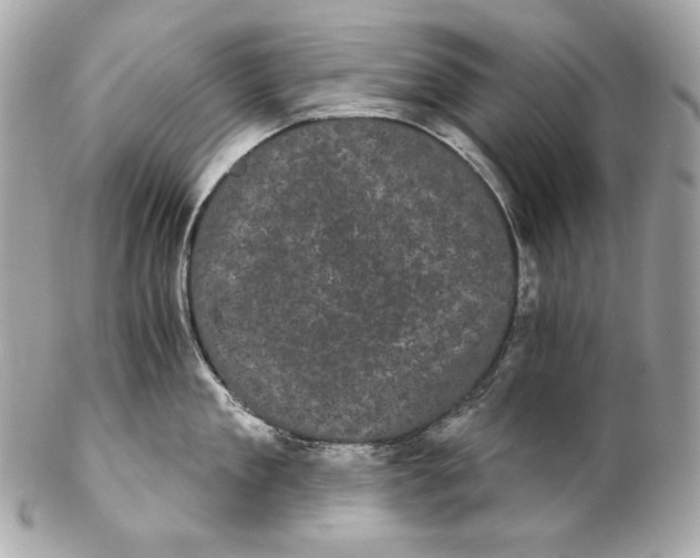 X0000102240909200808151751