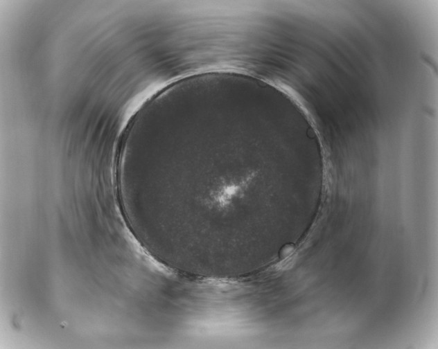 X0000102240910200808151751