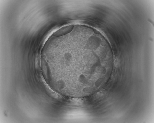 X0000102240911200808151751