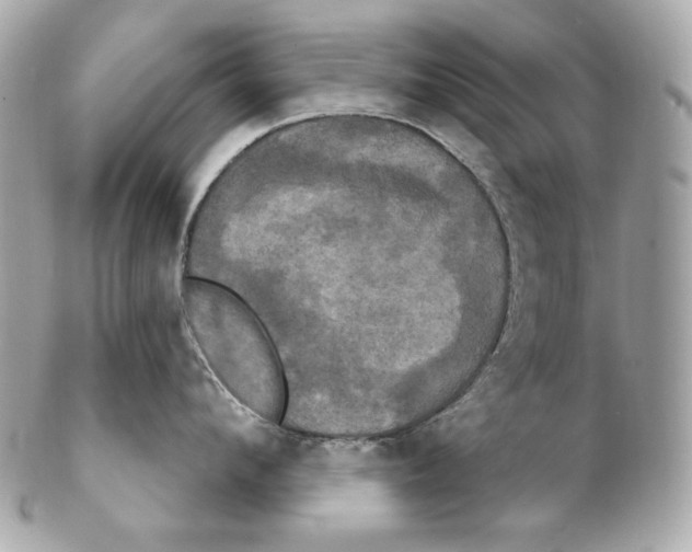 X0000102240912200808151751