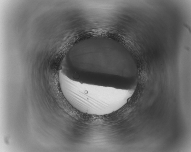 X0000102240913200808151750