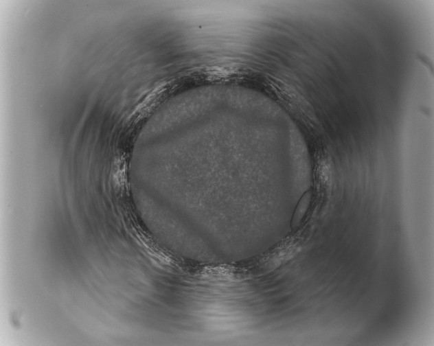 X0000102240914200808151750