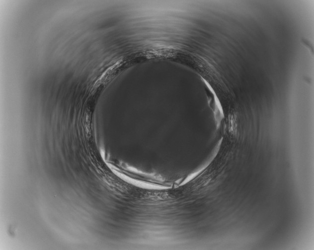 X0000102240915200808151750