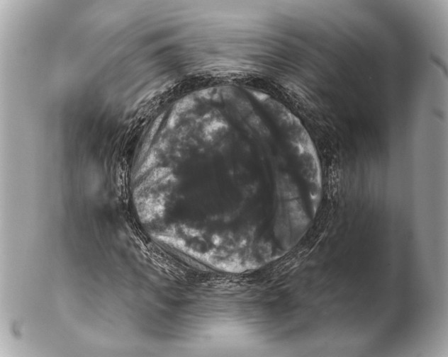 X0000102240917200808151750