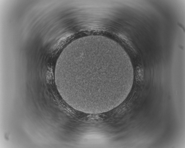 X0000102240918200808151750