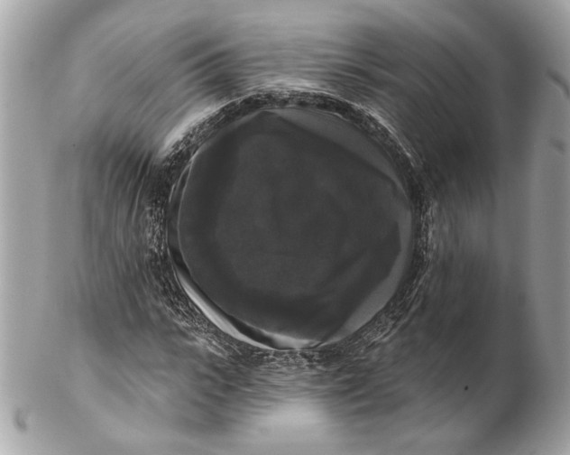 X0000102240919200808151750