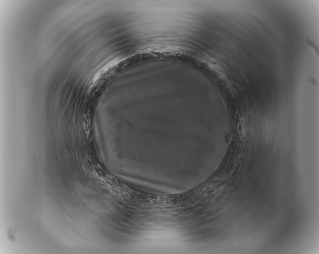 X0000102240920200808151750