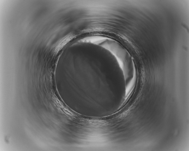 X0000102240921200808151750