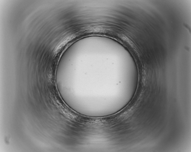 X0000102240922200808151750