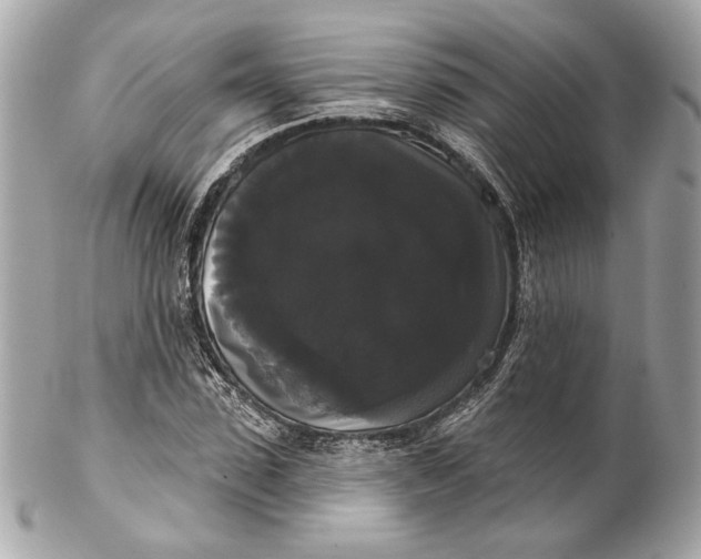 X0000102240923200808151750