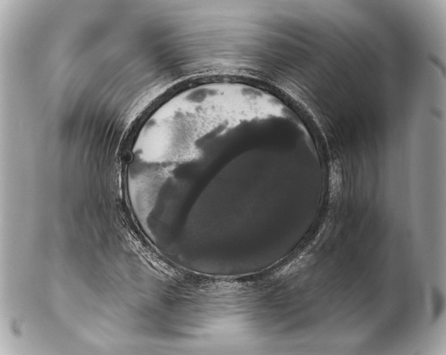 X0000102240925200808151750