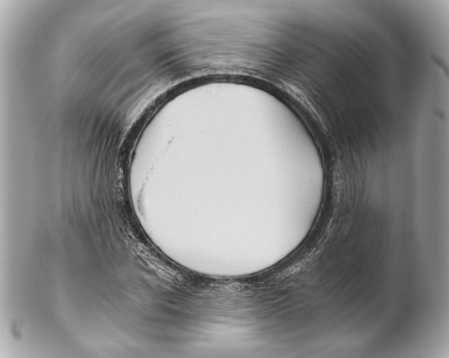 X0000102240926200808151750