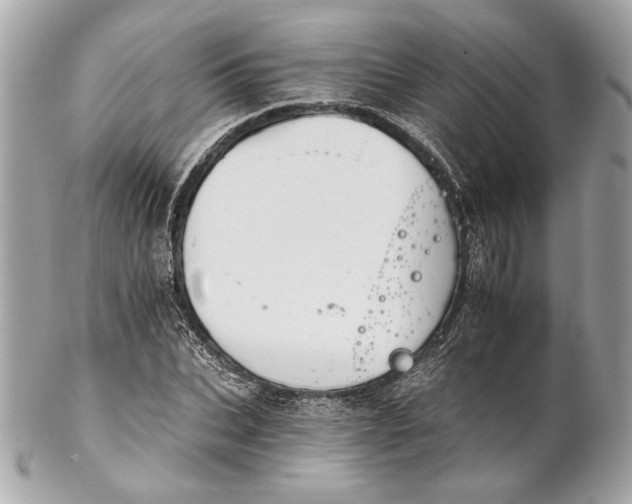 X0000102240927200808151750