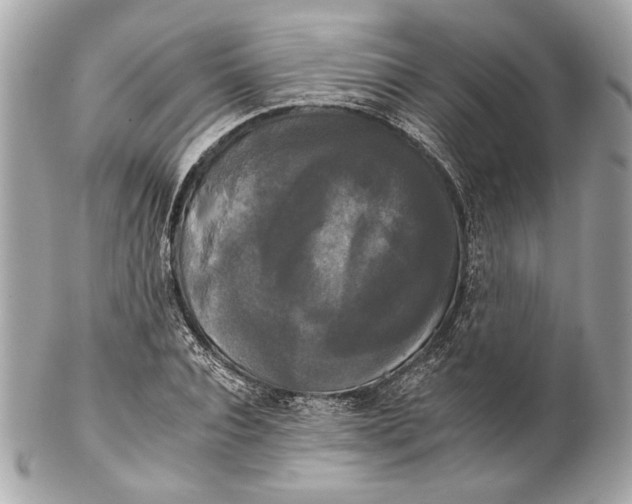 X0000102240928200808151750