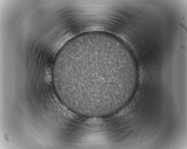 X0000102240929200808151750