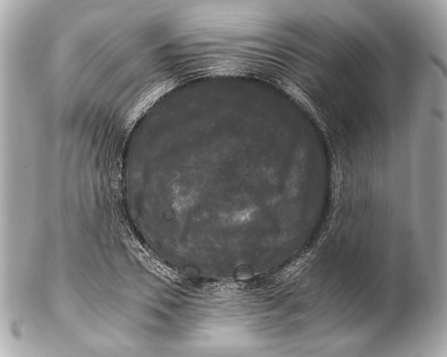 X0000102240930200808151750