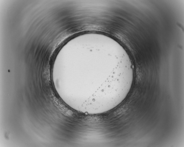 X0000102240931200808151750