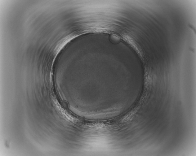 X0000102240932200808151750