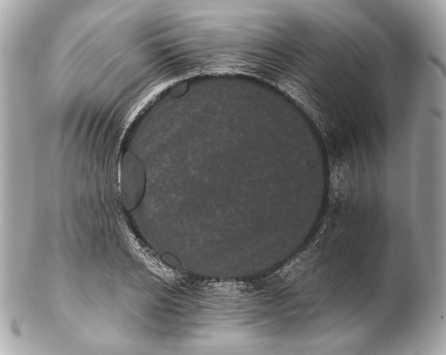 X0000102240934200808151750