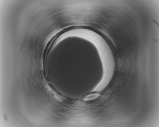 X0000102240935200808151750