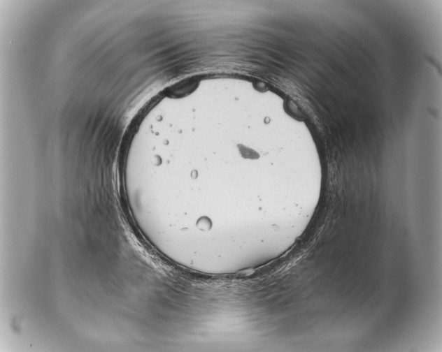 X0000102240936200808151750