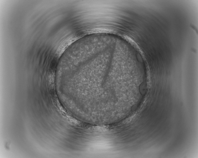 X0000102240937200808151750