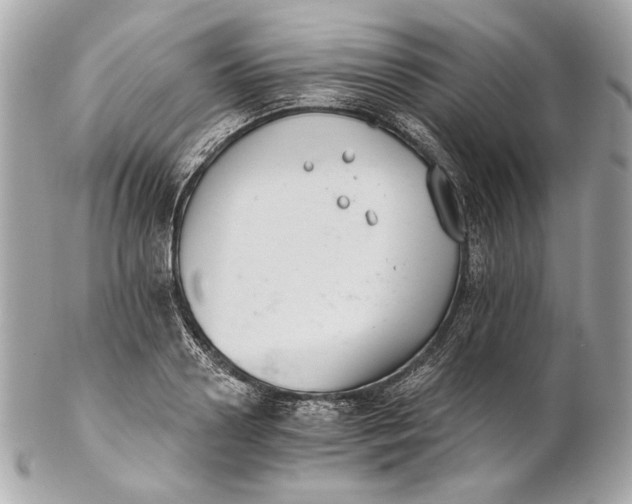 X0000102240938200808151750