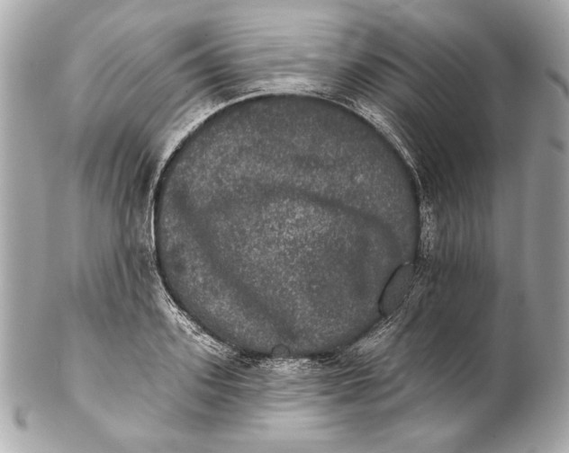 X0000102240939200808151750