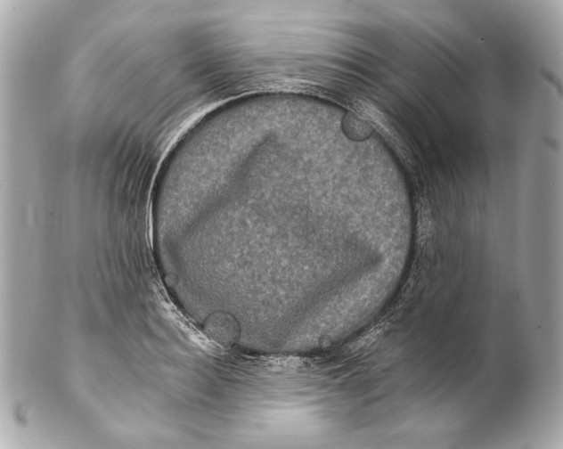 X0000102240940200808151750