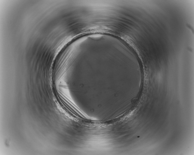 X0000102240941200808151750