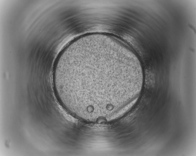 X0000102240942200808151750