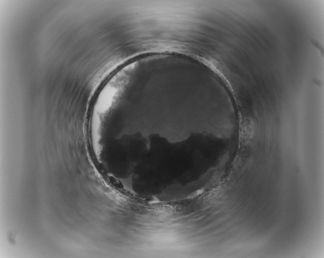 X0000102240943200808151750