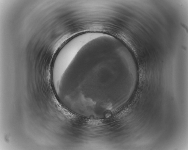 X0000102240944200808151750