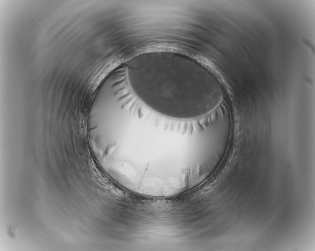 X0000102240945200808151750