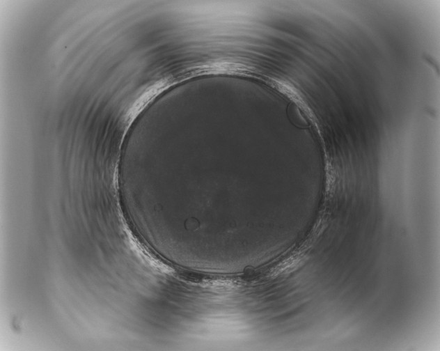 X0000102240946200808151750