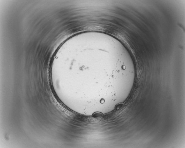 X0000102240947200808151750