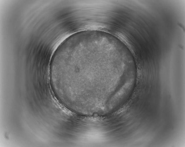 X0000102240948200808151750