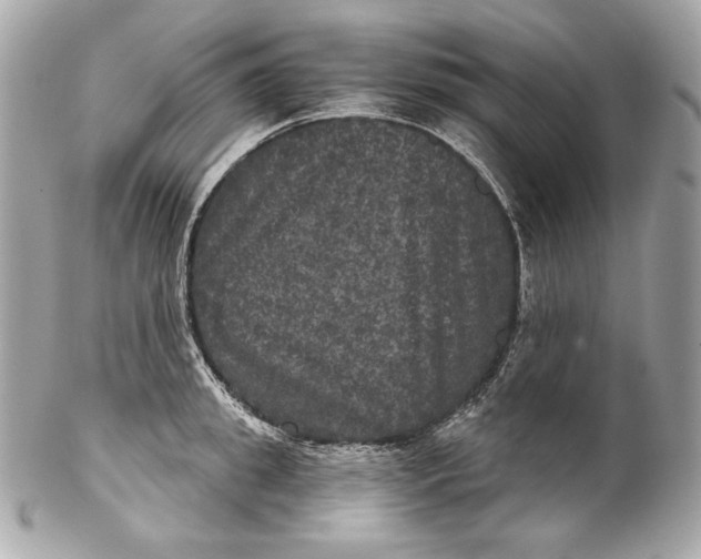 X0000102240949200808151750