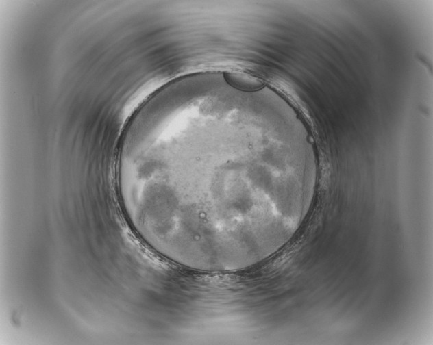 X0000102240952200808151750