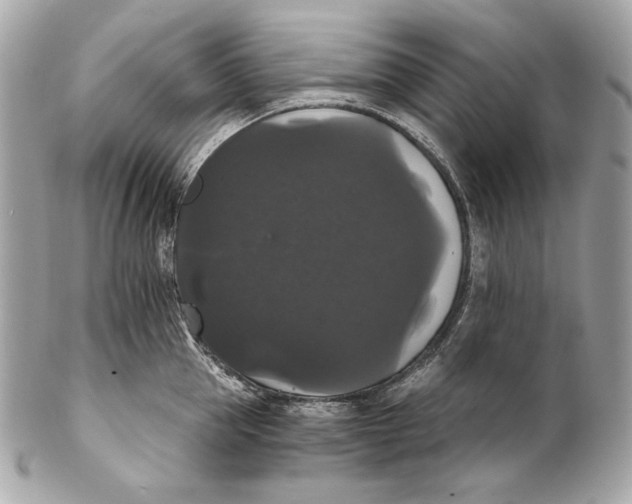 X0000102240953200808151750