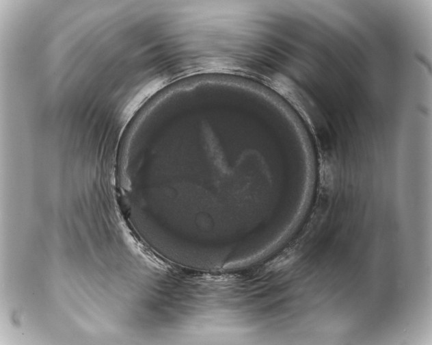 X0000102240954200808151750