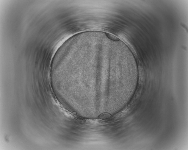 X0000102240956200808151750