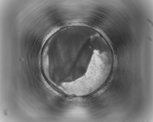 X0000102240957200808151750